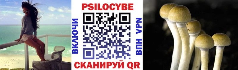 Псилоцибиновые грибы прущие грибы  Славянск-на-Кубани 