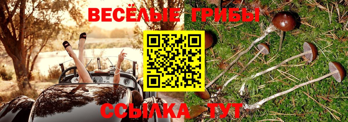 Галлюциногенные грибы MAGIC MUSHROOMS  сколько стоит  Славянск-на-Кубани 