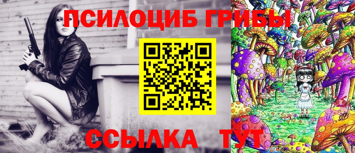 Псилоцибиновые грибы прущие грибы  Галлюциногенные грибы GOLDEN TEACHER  Славянск-на-Кубани  Вход с VPN 